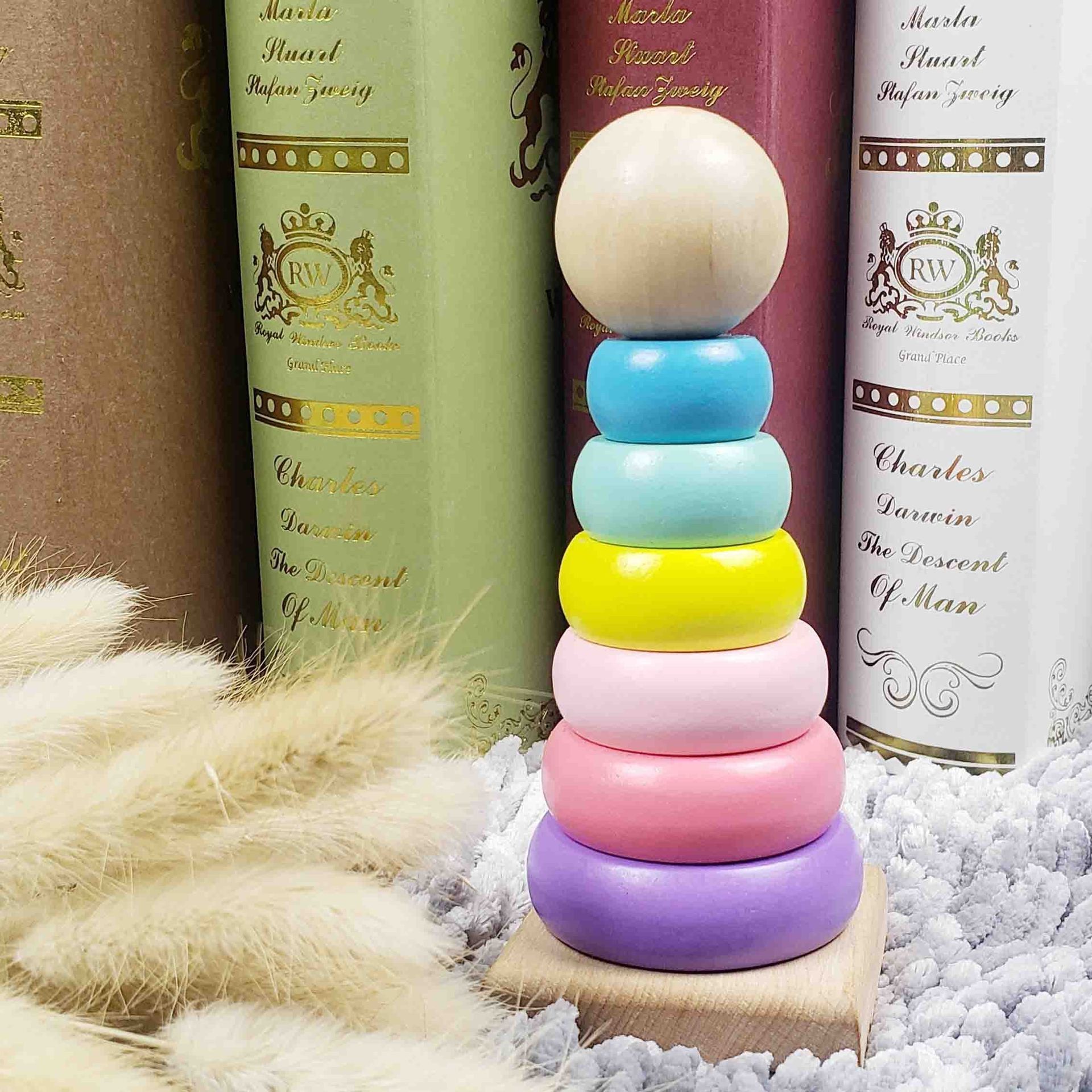 Montessori Rotating Rainbow Tower