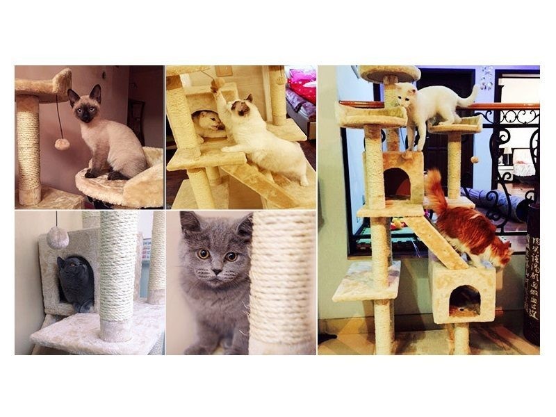 173CM High - Cat Tree House Scratching Post Condo