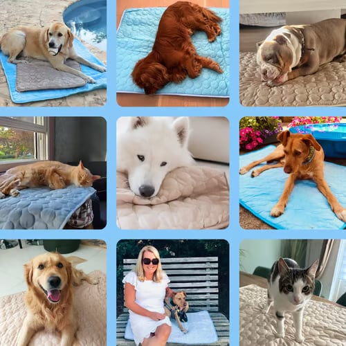 Dog Cooling Mat