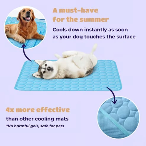 Dog Cooling Mat