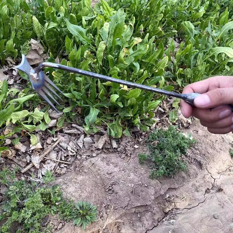 Gardening Hand Weeder Tool