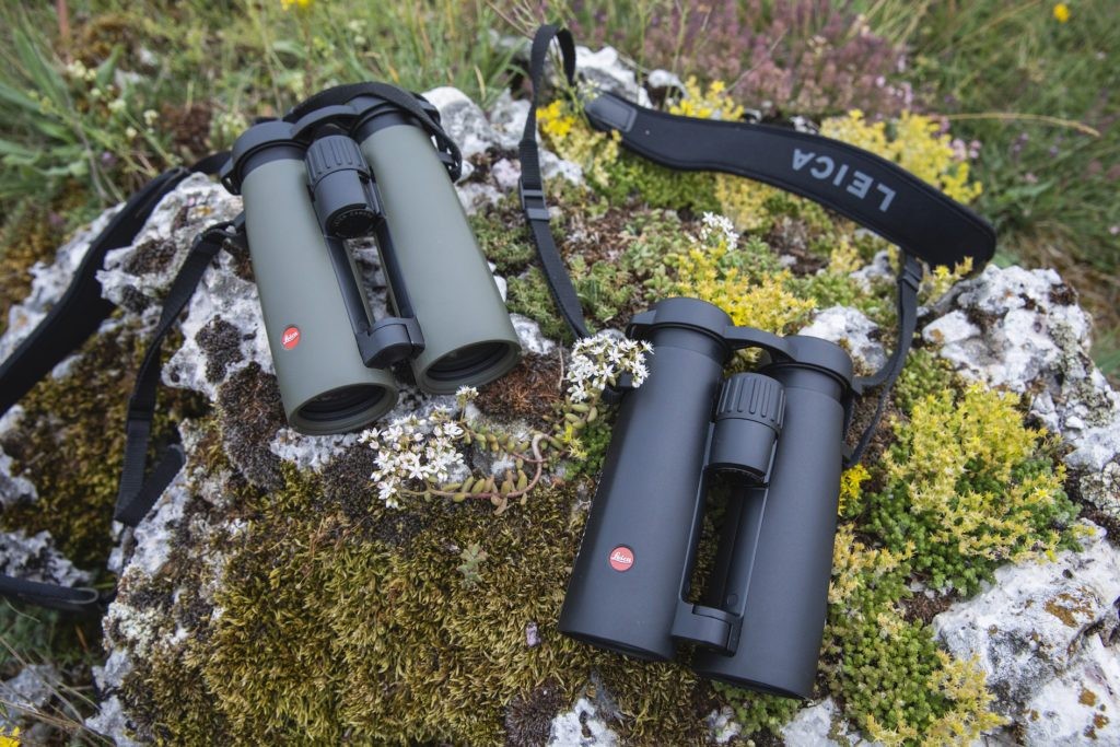 Leica Noctivid 10x42
