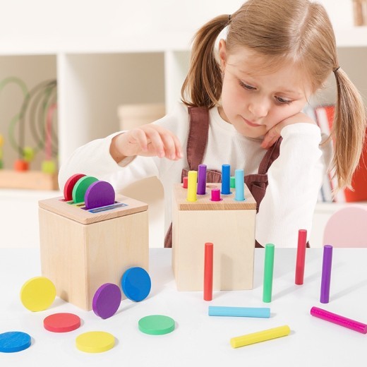 Early Childhood Education Educational Toys Baby Color Cognitive Classification Teaching Aids