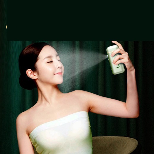 Hand-held Oxygenometer Beauty Parlor Nano