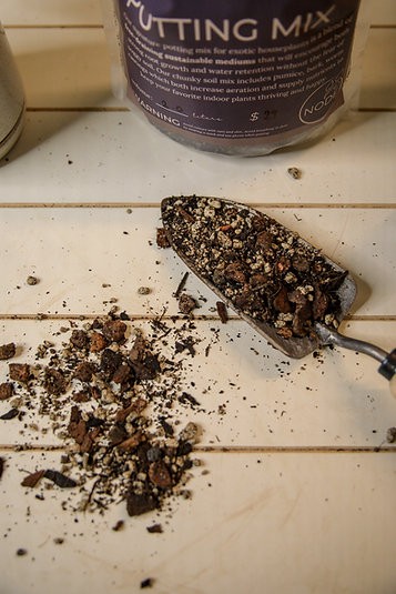 Organic Houseplant Potting Mix