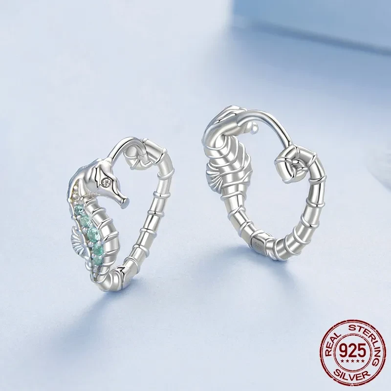 Haima Ear Clip Sterling Silver Earrings