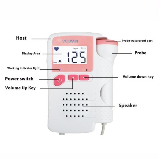 Pregnant Women's Desired Home Pregnancy