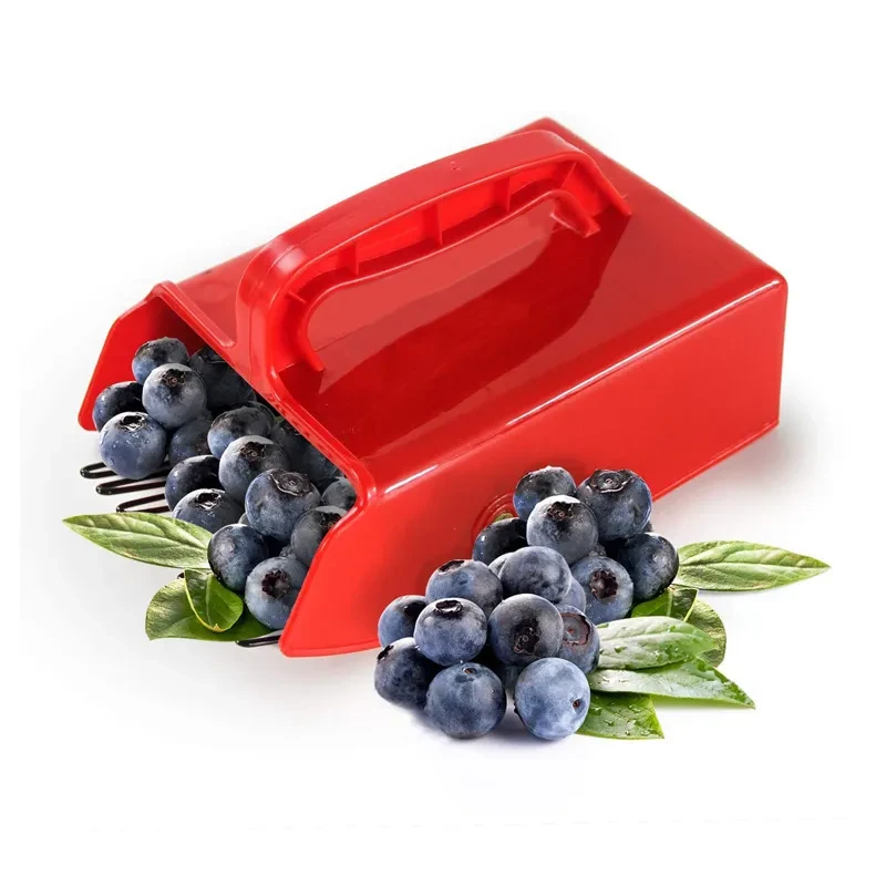 Berry Picking Rake