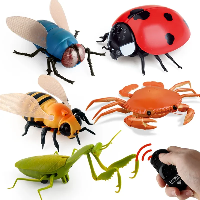 Remote Control Bugs