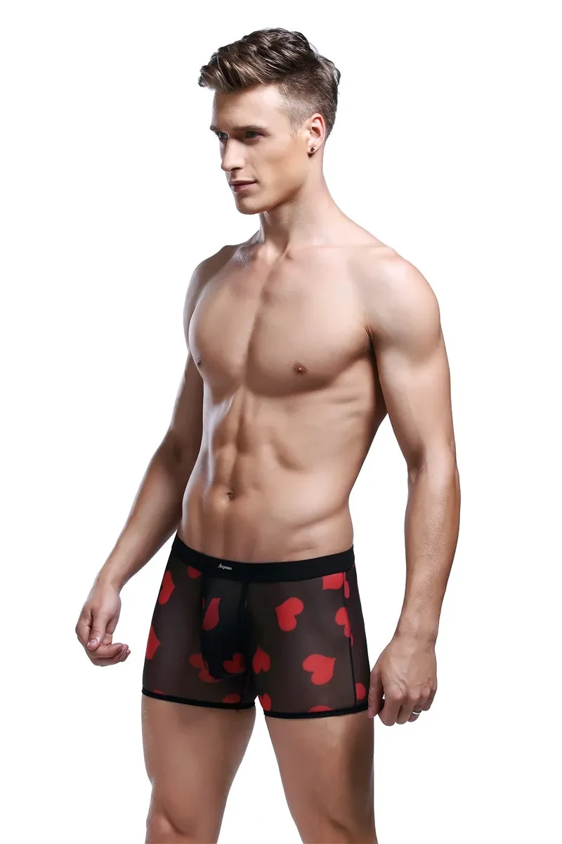 Mens Shiny Briefs