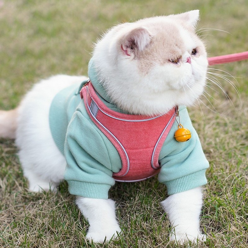 Outdoor Cat Harness & Leash Set