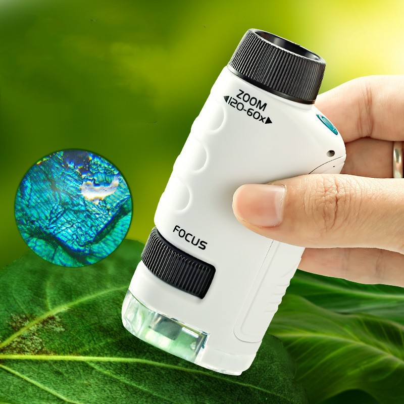 Pocket Microscope for Kids