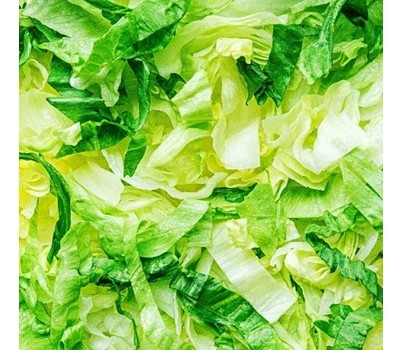 LETTUCE COS SHREDDED FSH (PER KG) - [PREPVG]