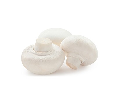 MUSHROOM BUTTONS (TAG1) (PER KG) - [PRODUCE]