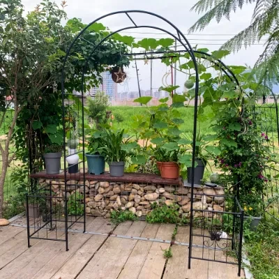 Arch Trellis