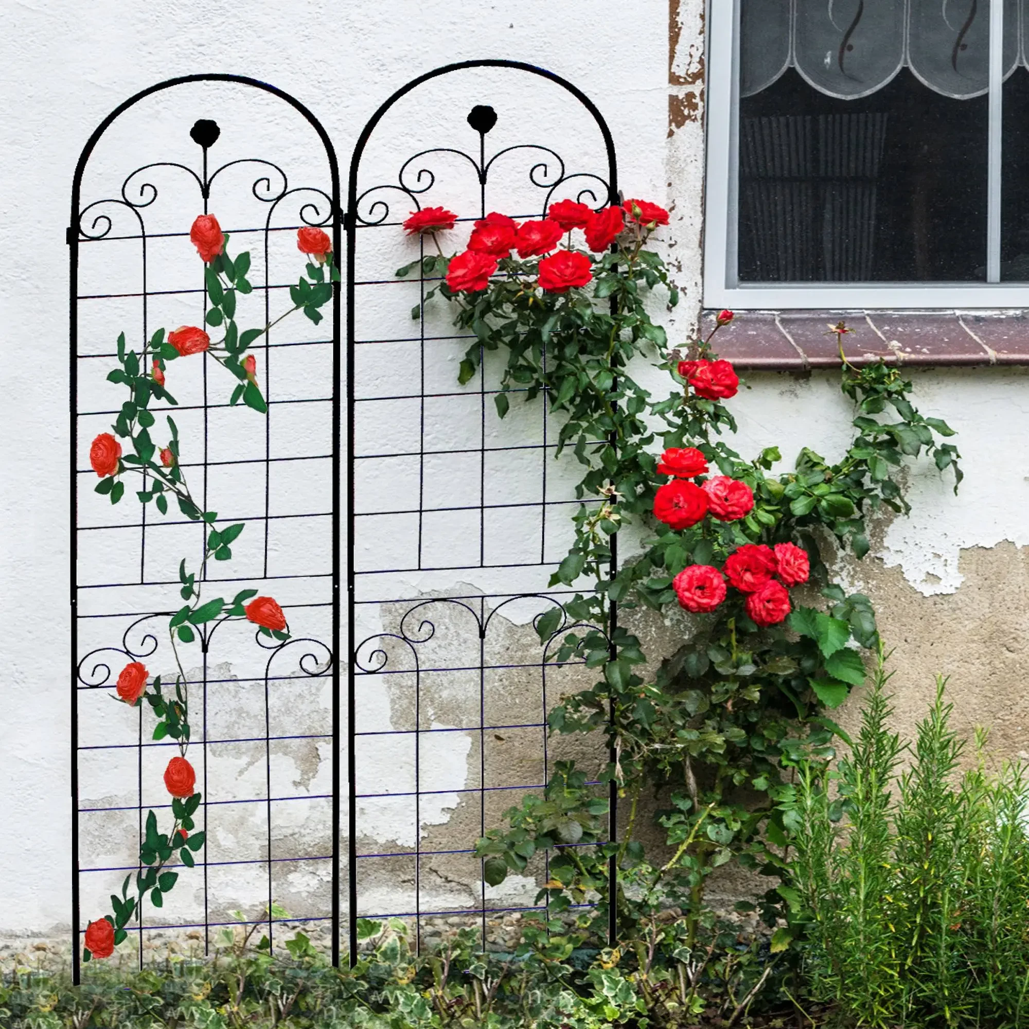 Expanding Trellis