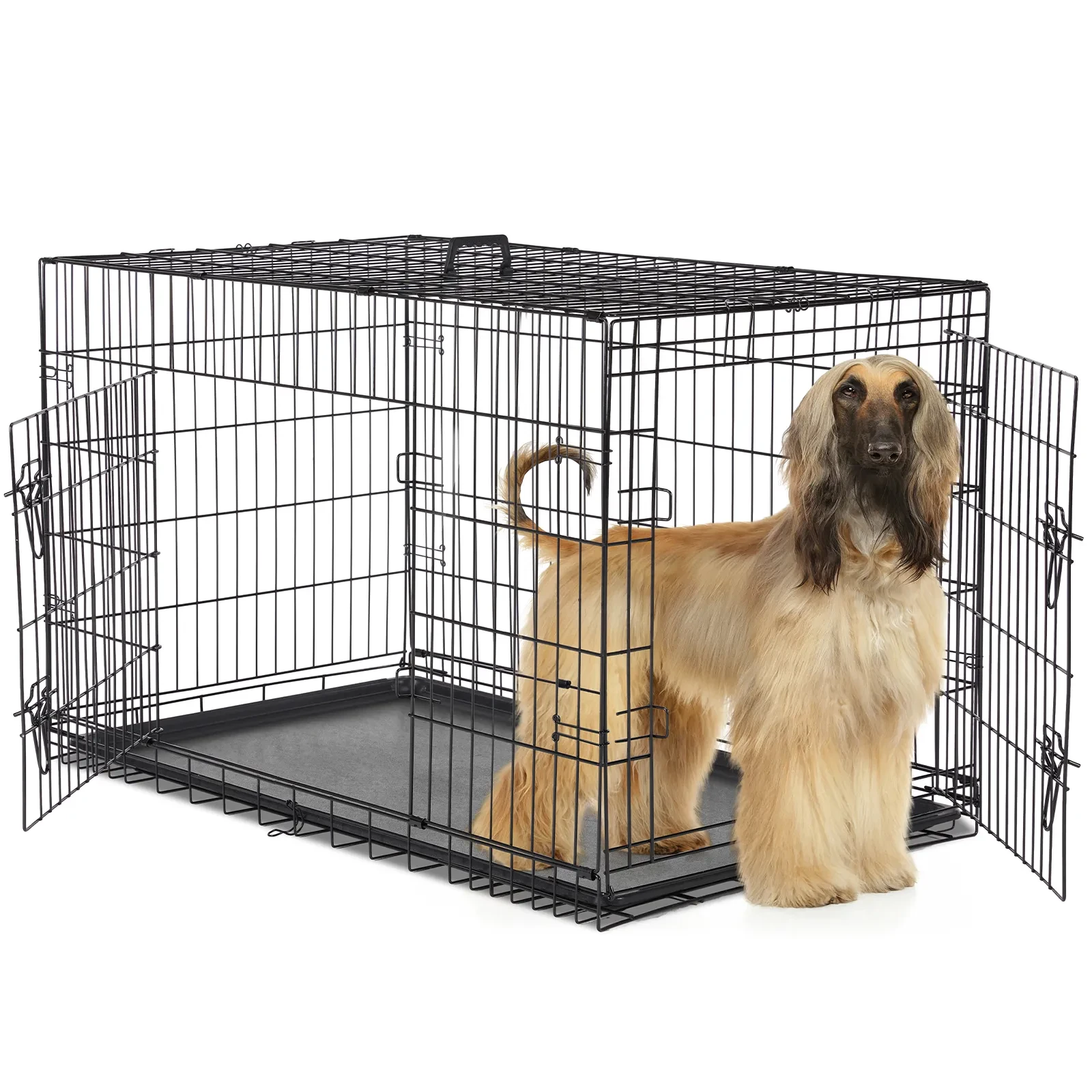Dog Boxes For Sale