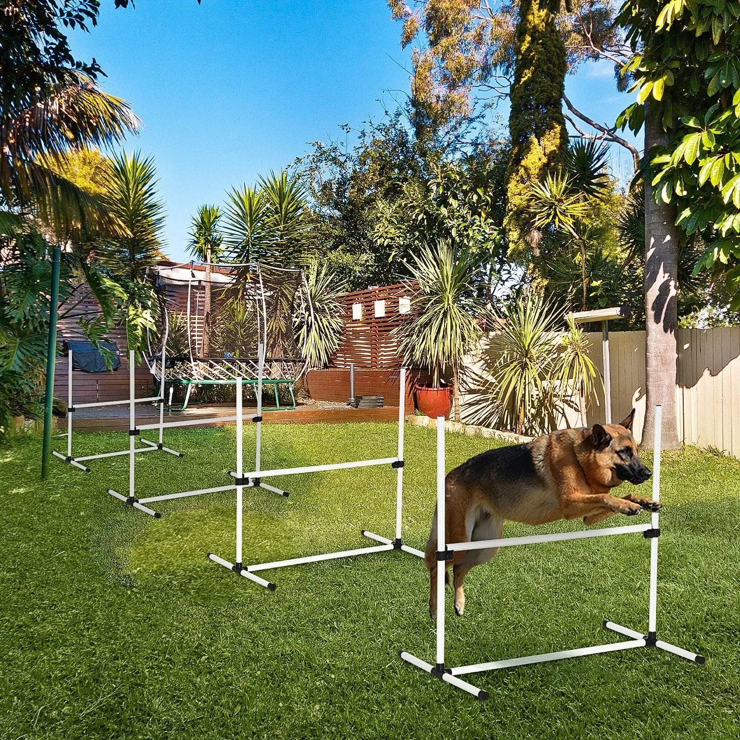 Agility Poles