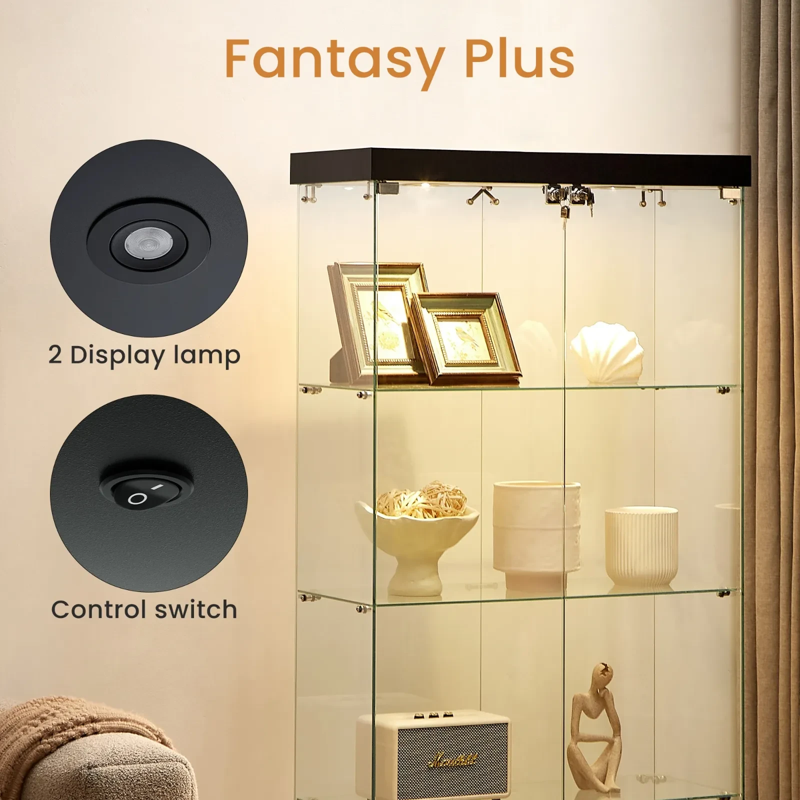 Lockable Glass Cabinet