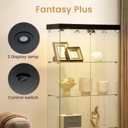 Lockable Glass Cabinet