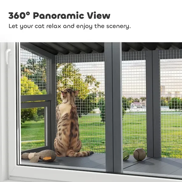 Cat Enclosure