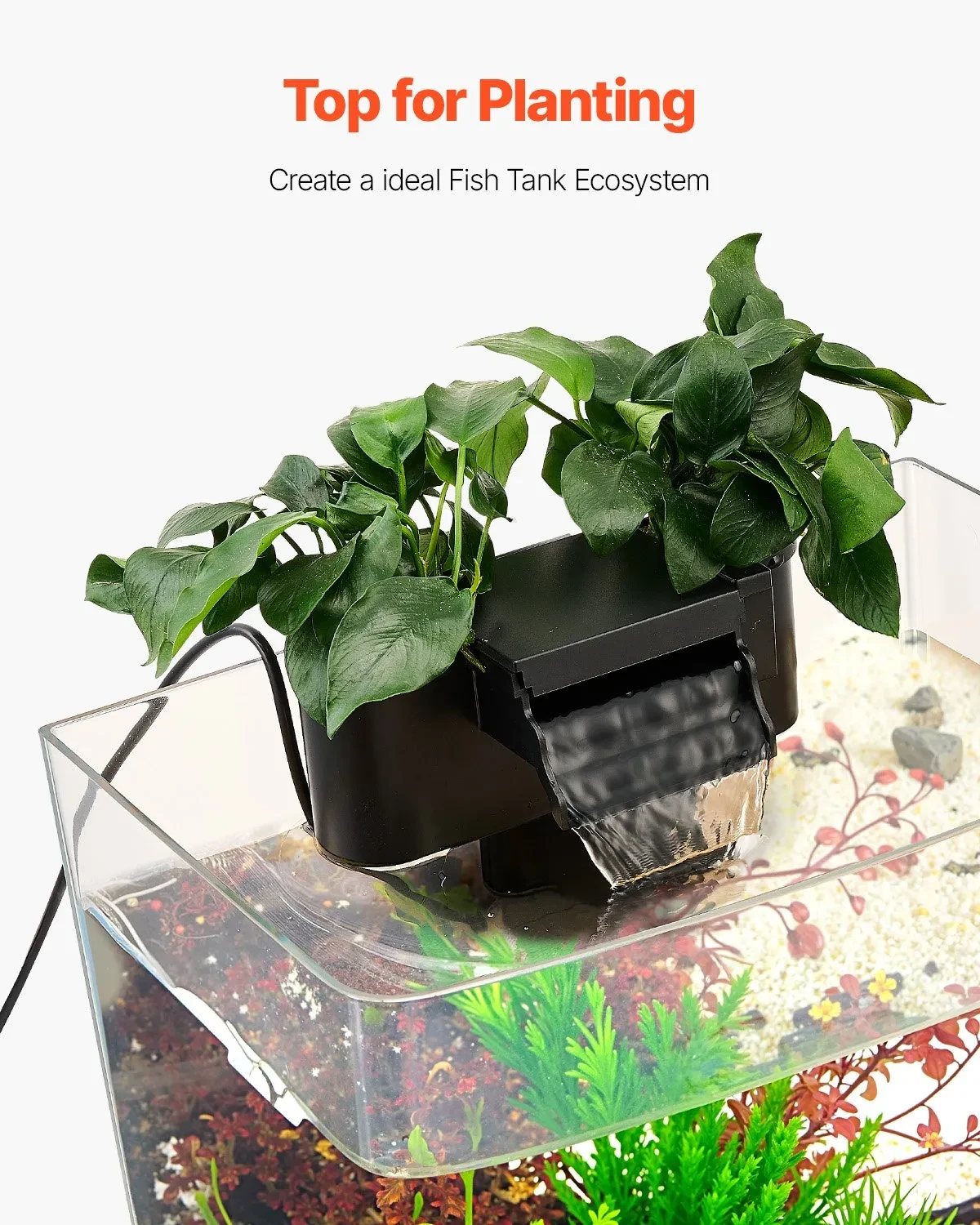 Self Cleaning Fish Tank