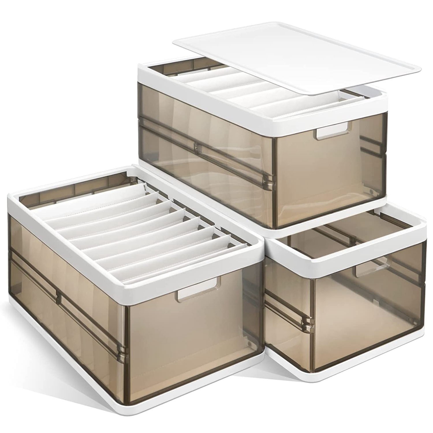 Storage Bins With Lids