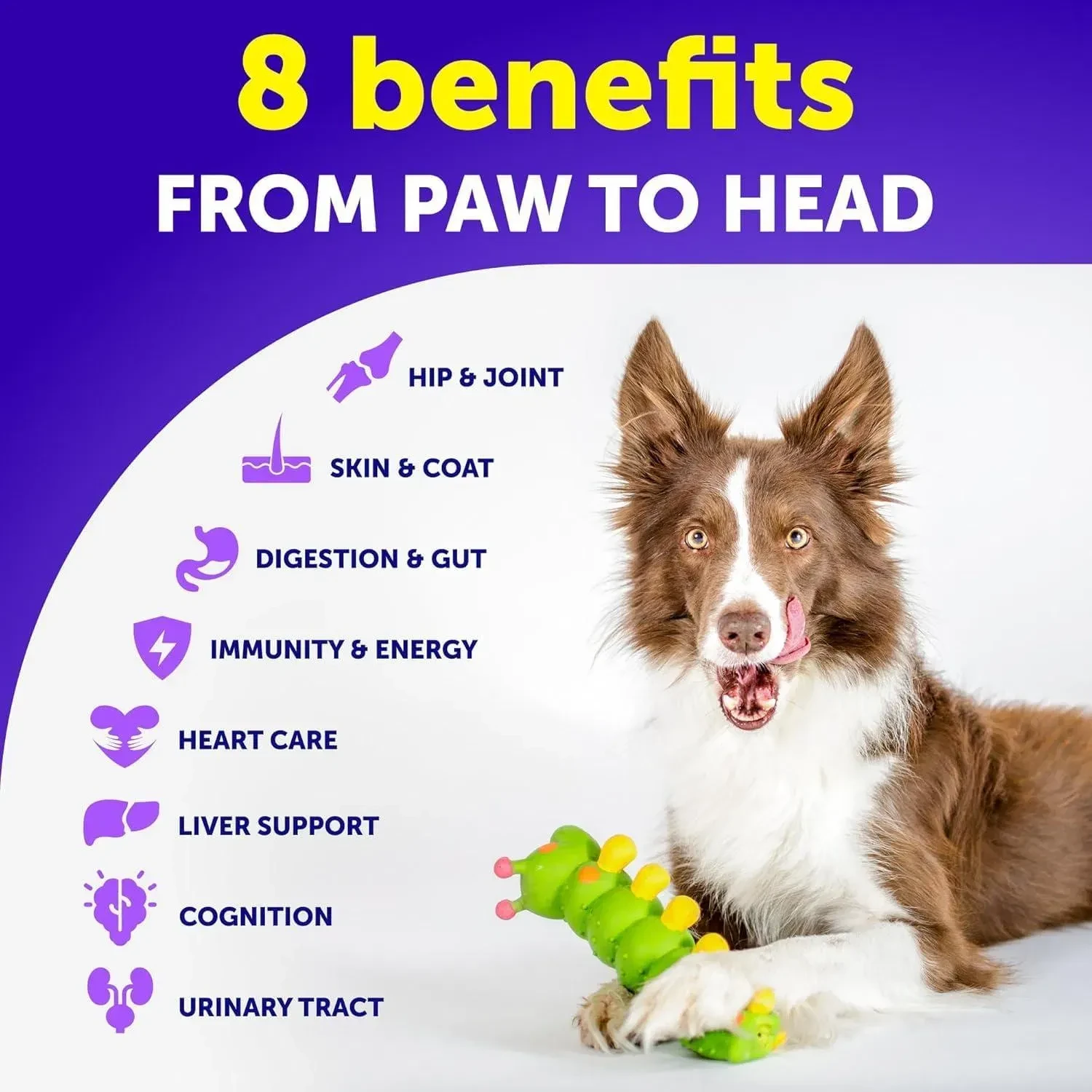 Multivitamin For Dogs