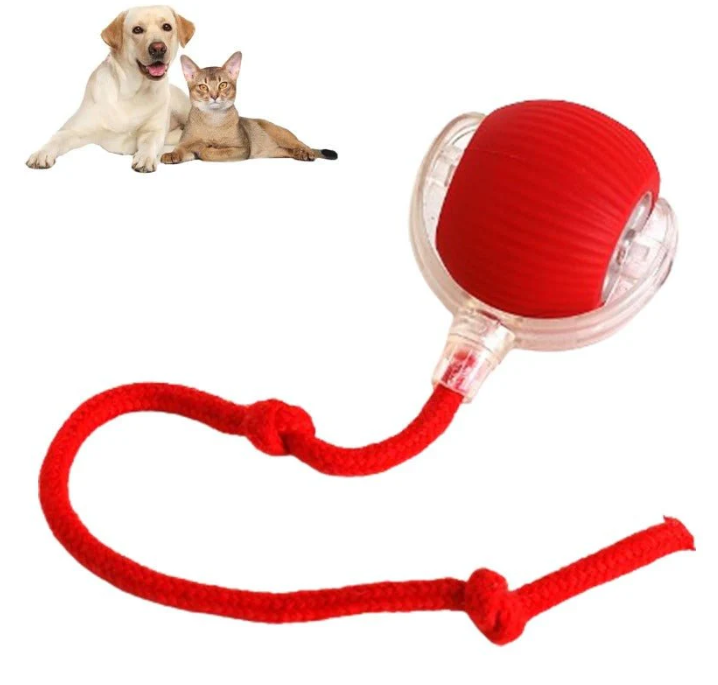PawBot Smart Pet Ball