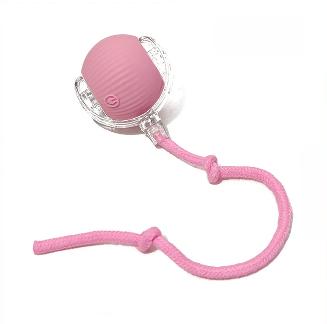 PawBot Smart Pet Ball