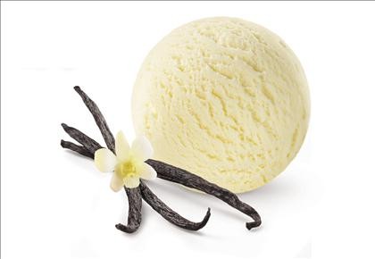 Ice Cream Vanilla No Added Sugar Gluten Free