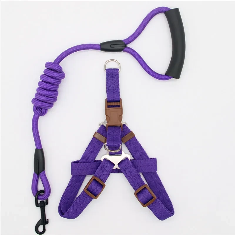 outdoor dog lead hook