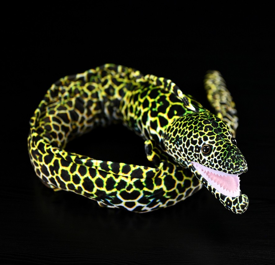 Cute Star Eel Plush Toy With A Realistic Kangji Eel Figurine