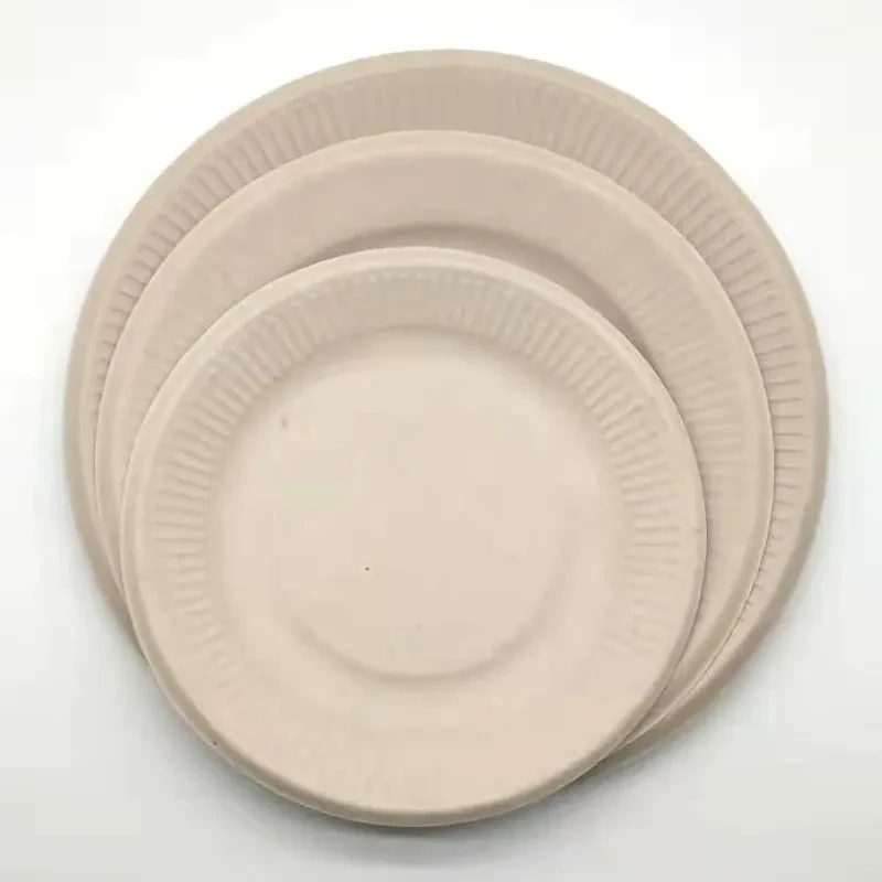 Disposable Plates