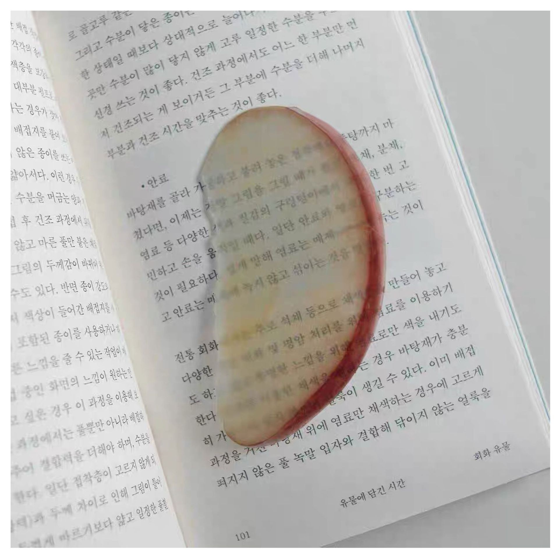 Cute Fixed Book Photo Bookmark Cartoon Creative Watermelon Fruit Bookmark