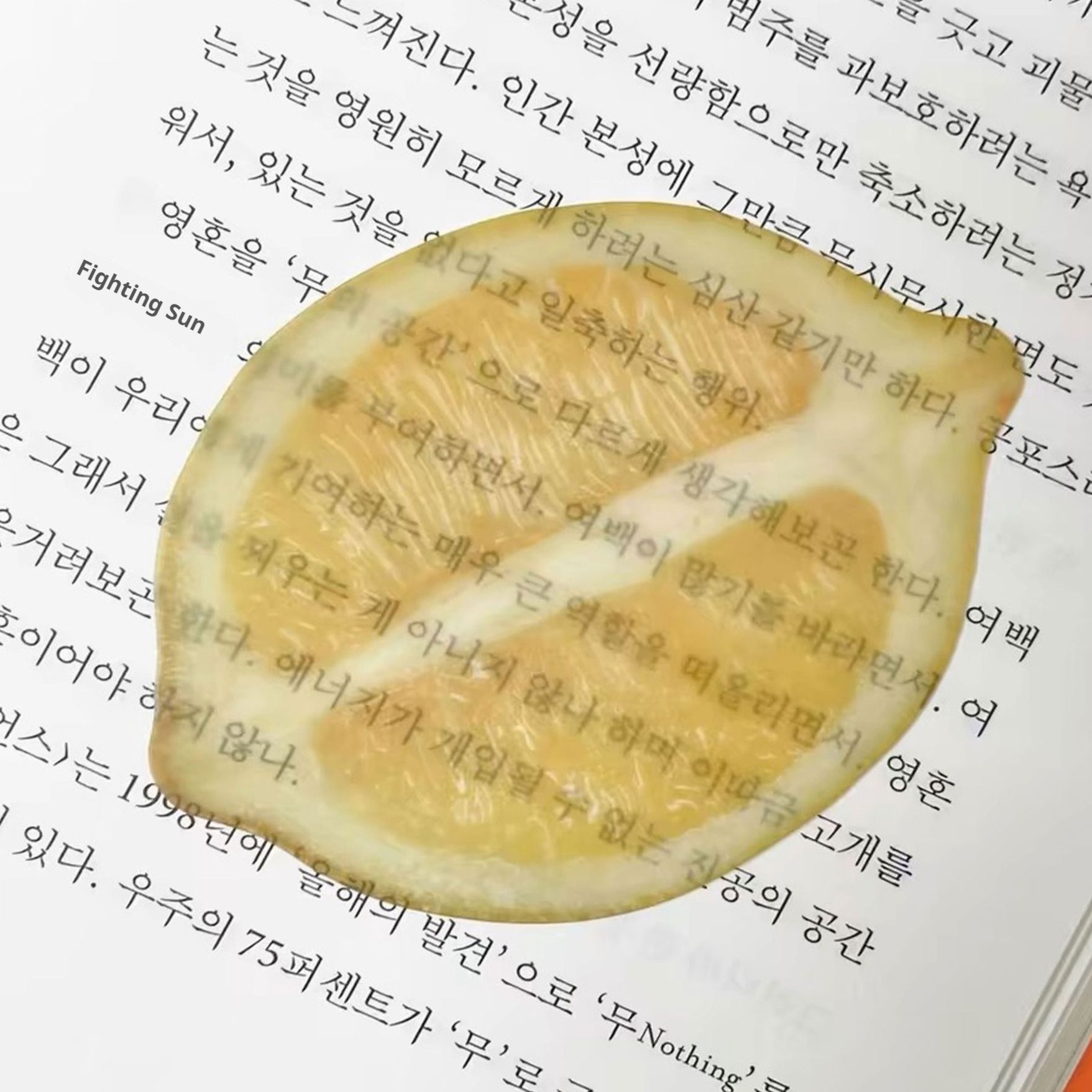 Cute Fixed Book Photo Bookmark Cartoon Creative Watermelon Fruit Bookmark