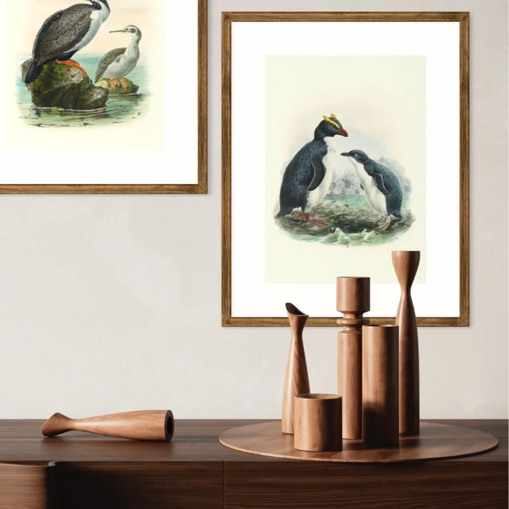 Johannes Keulemans - Print - Fiordland Crested Penguin - Tawaki and Little Penguin - Korora