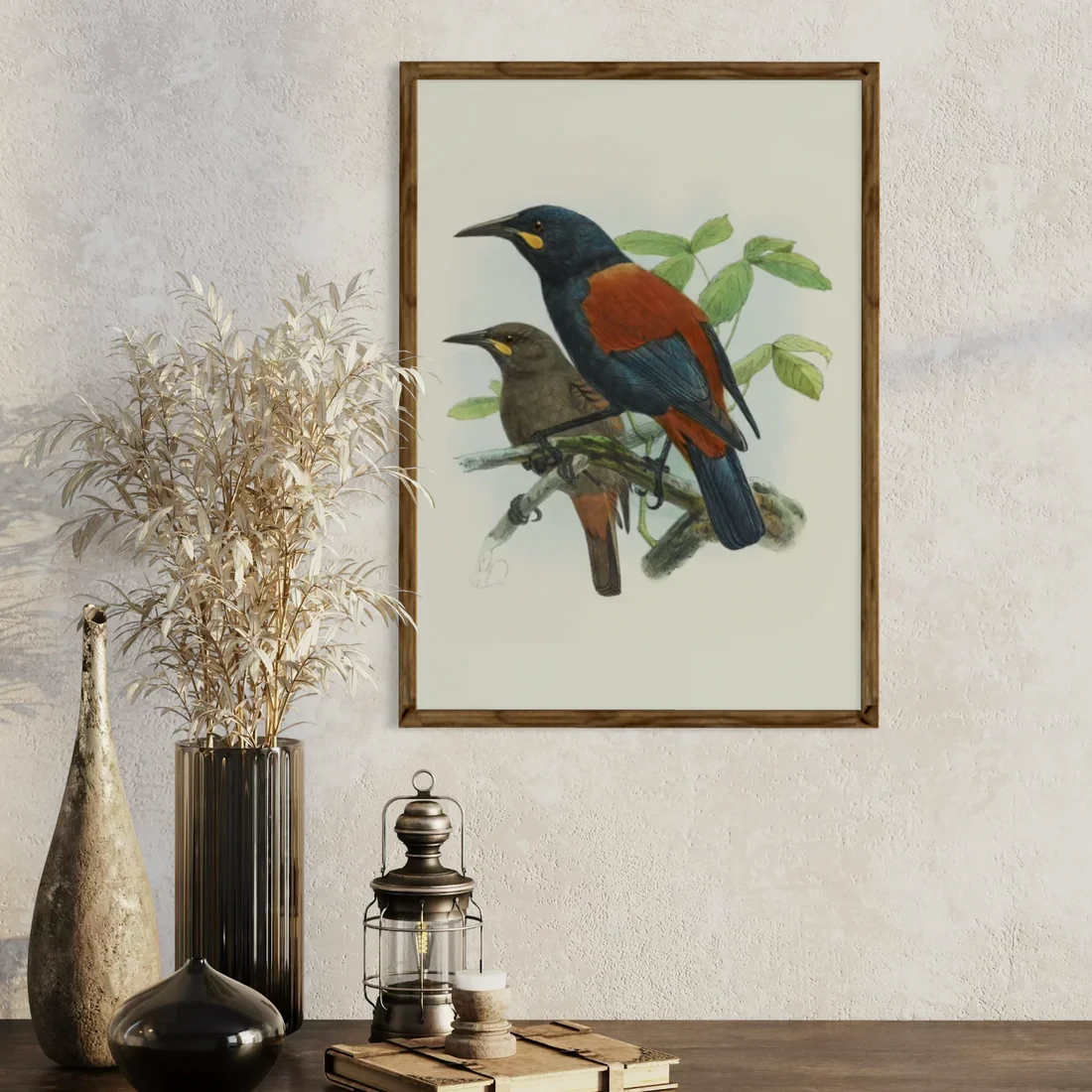 Johannes Keulemans - Print - South Island Saddleback - Tieke and North Island Saddleback - Tieke