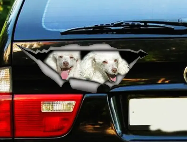 Sticker, poodles car sticker , poodle decal, pet sticker