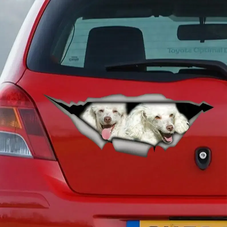 Sticker, poodles car sticker , poodle decal, pet sticker