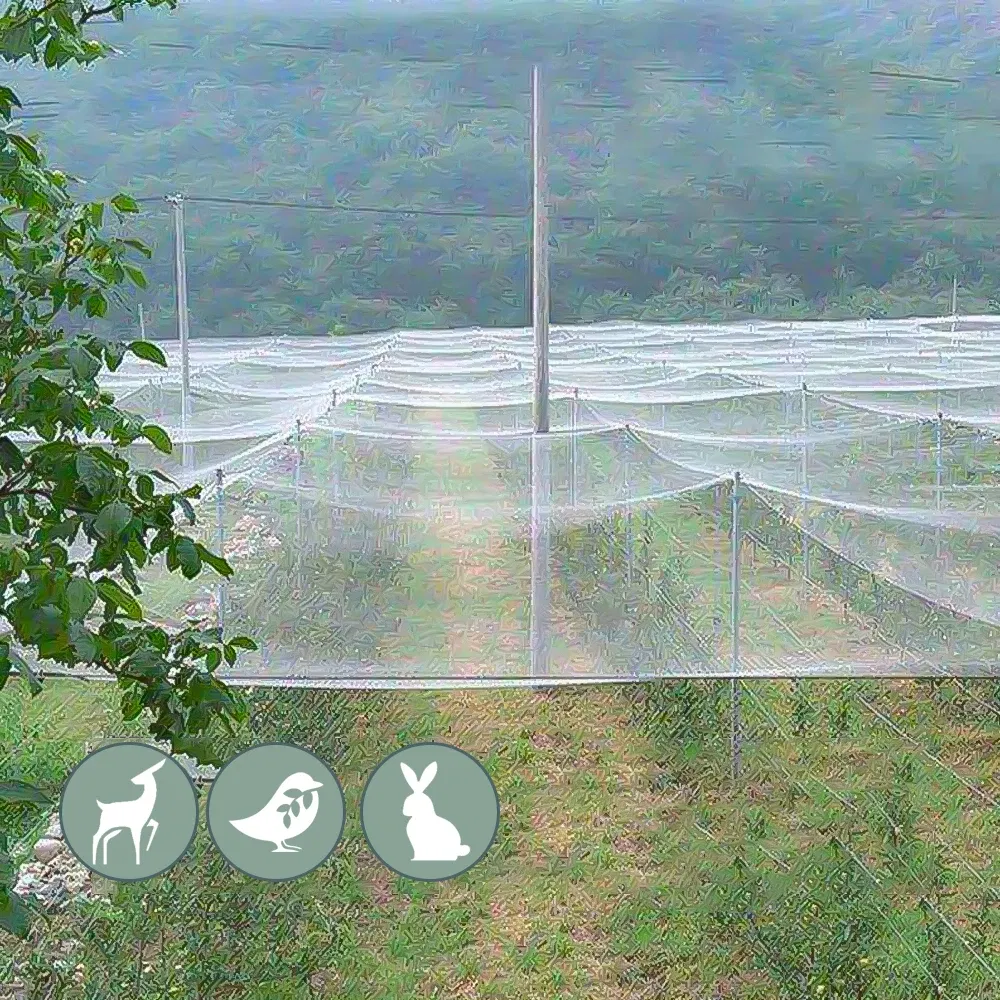 Color: Silver, Size: M - 3x1-20M Anti-bird Netting Garden Outdoor Pest Barrier Knotted Square Mesh Protection Net Extra Strong Poultry Breeding Nylon Net