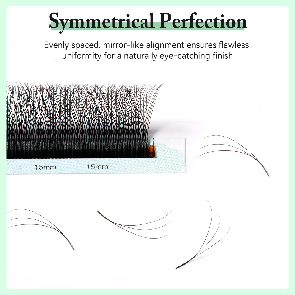 Curl: C, Thickness: 0.10mm, Length: 6mm - Yelix Smaller Opening 3D Lashes Narrow 3D W Shape Eyelash Extension Premade Volume Fan Lashes Natural Soft Eyelash