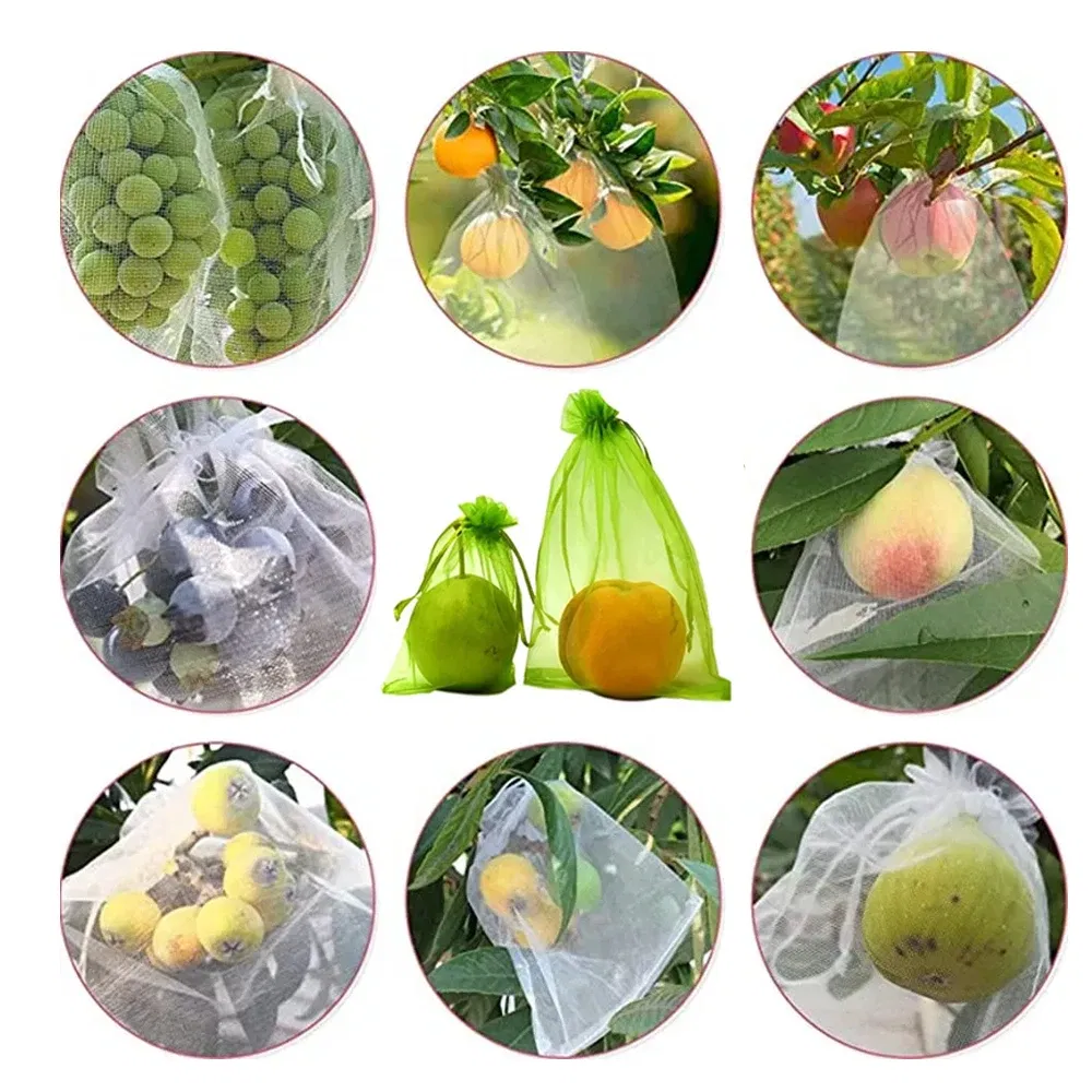 Color: light yellow, Size: 8XL - 20-200PCS Vegetable Grapes Fruit Grow Bags Fruit Protection Bags Garden Anti-Bird Netting Mesh Bag Strawberry Bags Garden Tools