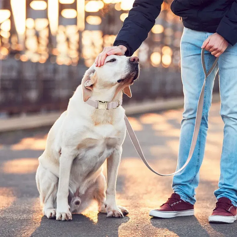 Color: GRAY, Size: S - Customized Deerskin Cat and Dog Collar, Adjustable Rope Set, Durable and Personalized, Free Engraved Pet Nameplate, ID Label, Al