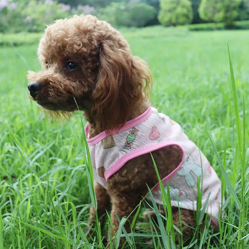 Color: Blue, Size: L - Summer Dog Vest Ultra Thin Breathable Mesh Cloth Pet T-shirt for Small Dogs Cute Cartoon Print Puppy Cat Cheap Clothes Costumes