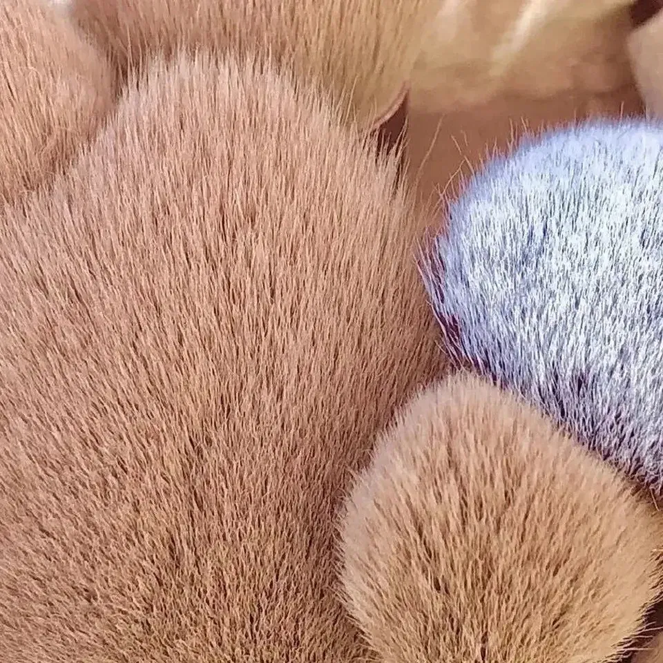 Color: PURPLE, Ships From: CHINA - 13 PCS Makeup Brushes Set Eye Shadow Foundation Women Cosmetic Brush Eyeshadow Blush Beauty Soft Make Up Tools Bag