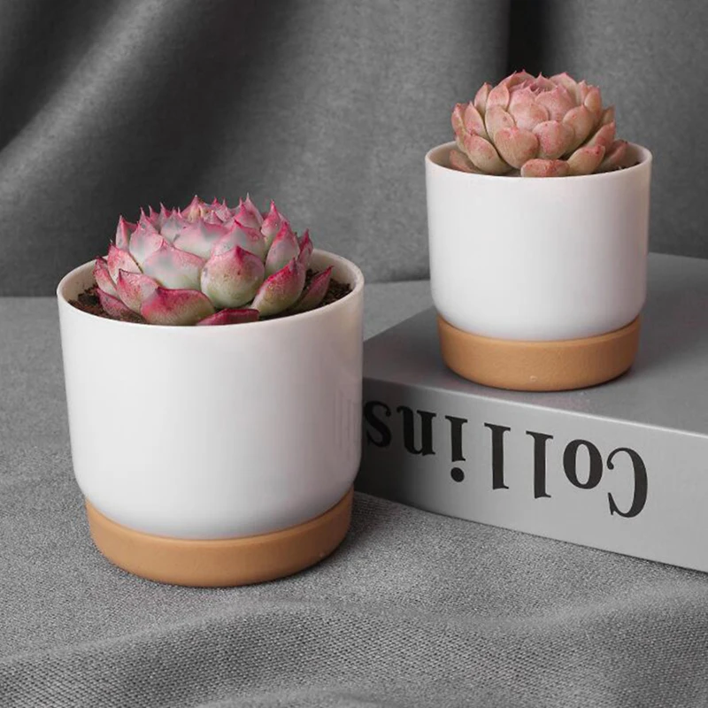 Color: WHITE - 1pcs Succulent Plant Pot Six-sided Ceramic Pot Succulent Flowerpot Set With Bamboo Support For Desktop