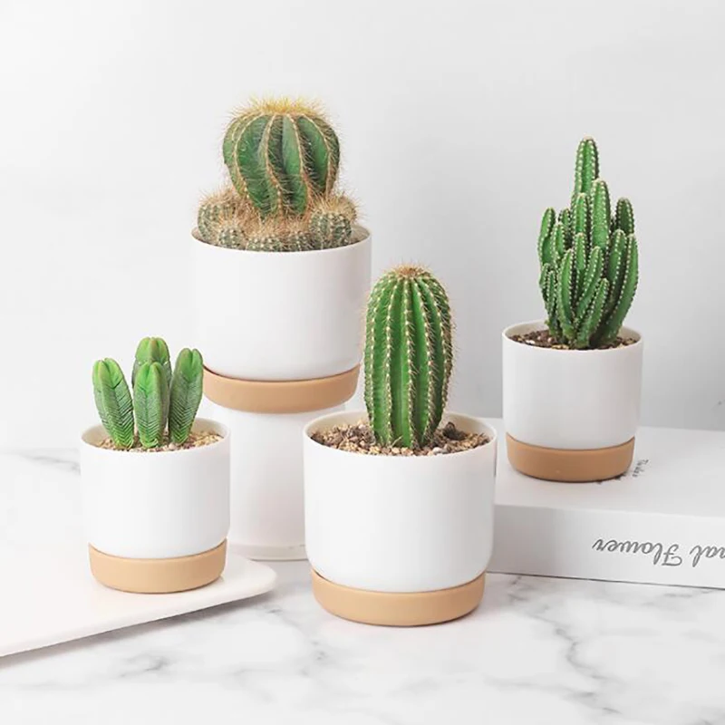 Color: WHITE - 1pcs Succulent Plant Pot Six-sided Ceramic Pot Succulent Flowerpot Set With Bamboo Support For Desktop