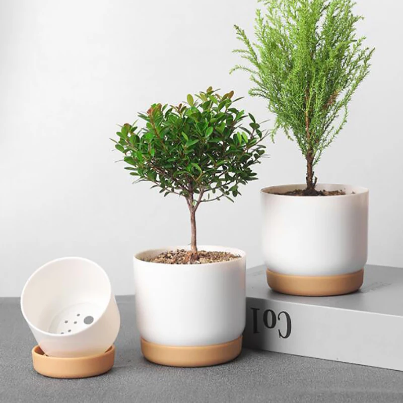Color: WHITE - 1pcs Succulent Plant Pot Six-sided Ceramic Pot Succulent Flowerpot Set With Bamboo Support For Desktop
