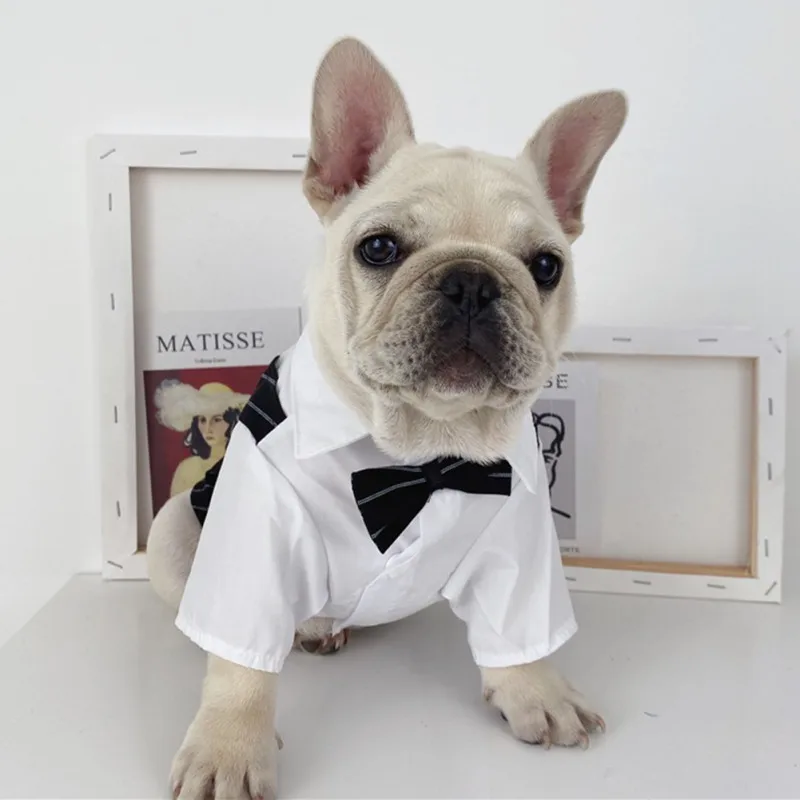 Color: Dark Brown, Size: 5XL - Dog Gentleman Wedding Suit Clothes Dog Suit Bow Tie Clothes Halloween Christmas Costume For Small Dogs Teddy Bulldog